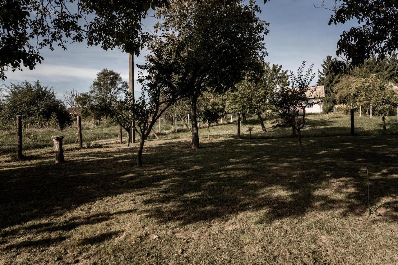 Szofi Porta Apartment Marcali Exterior photo