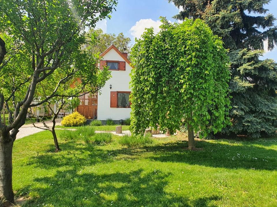 Szofi Porta Apartment Marcali Exterior photo